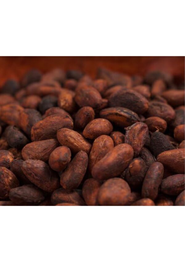 Whole Cocoa Bean - Image 4