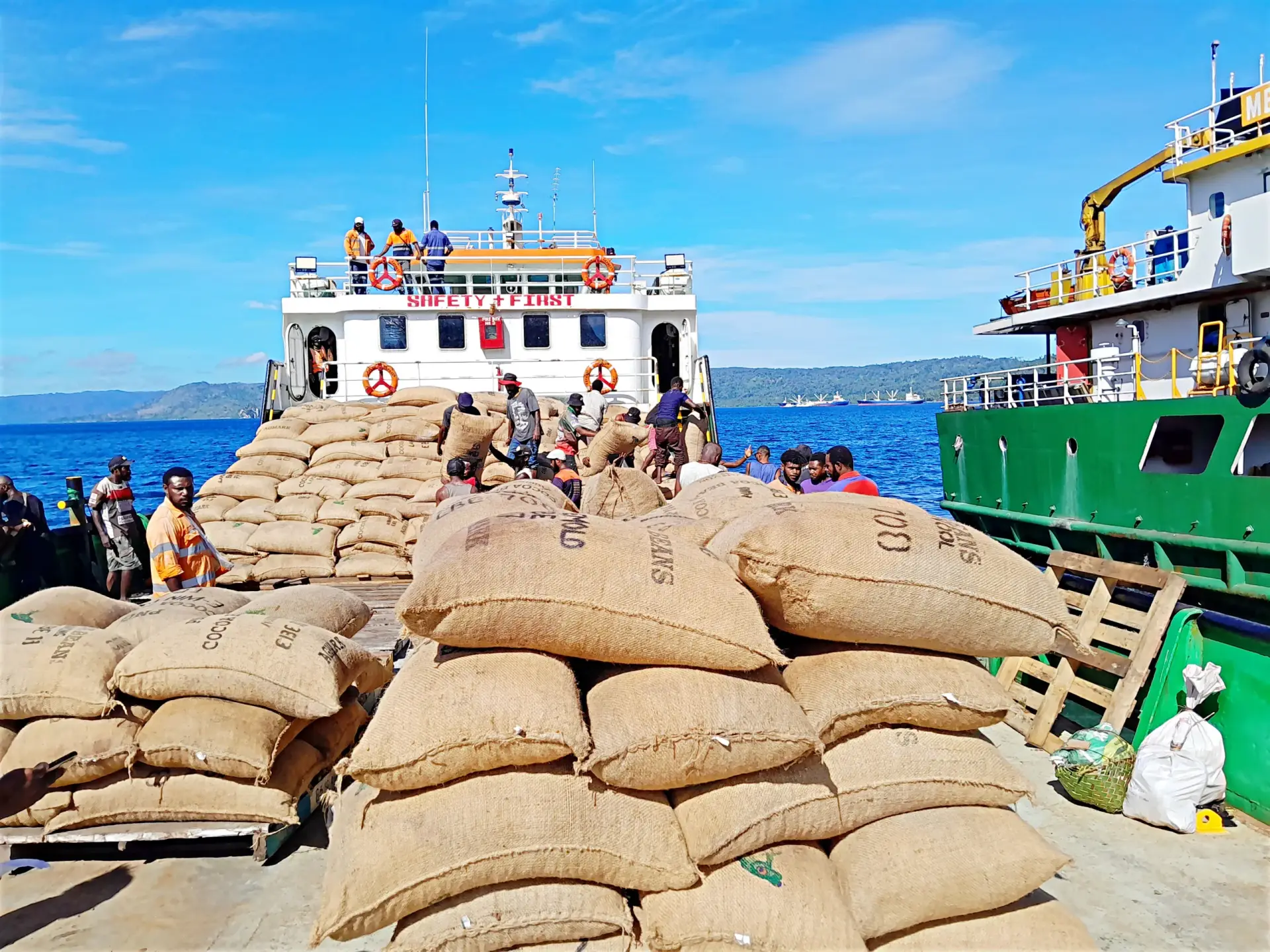 Bulk Cocoa Beans