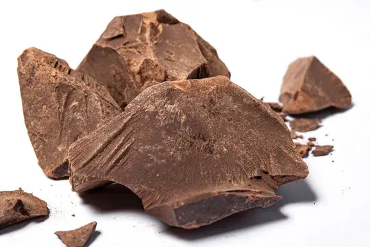 cocoa liquor / cocoa mass