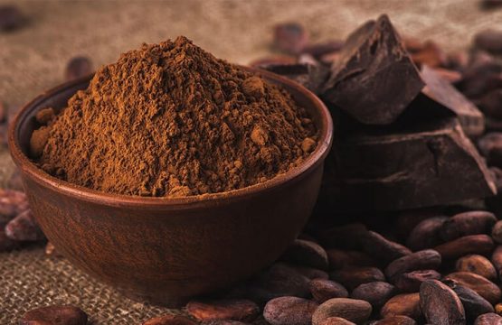 Alkalized cocoa powder dark brown | Radad International