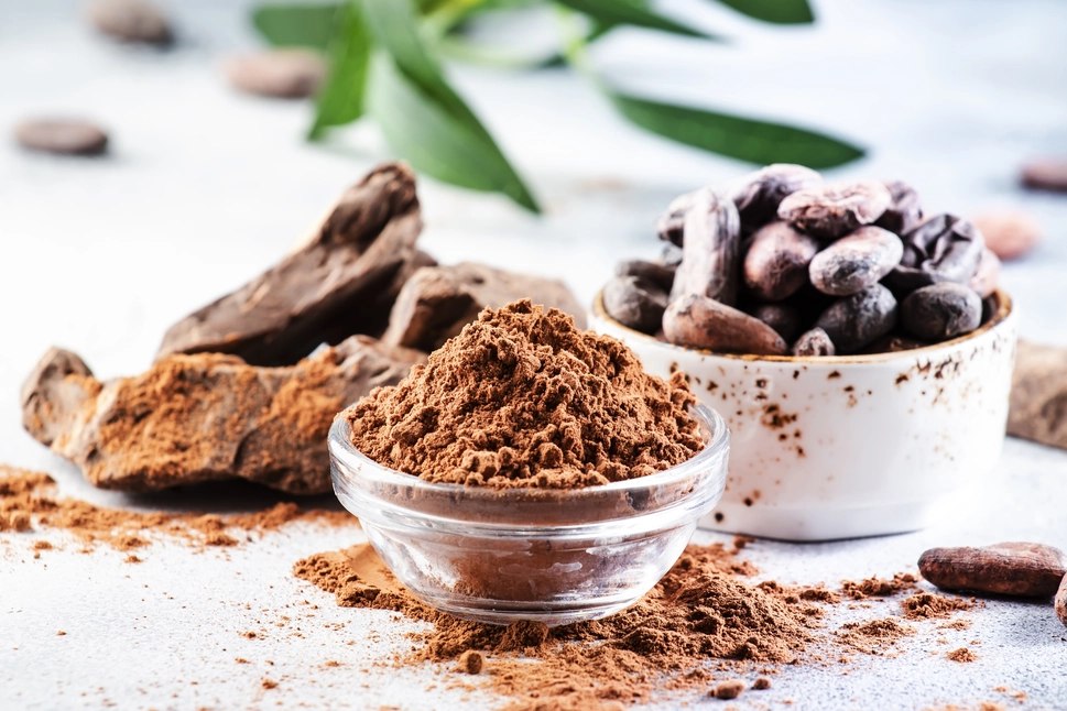Organic alkalized cocoa powder | radad