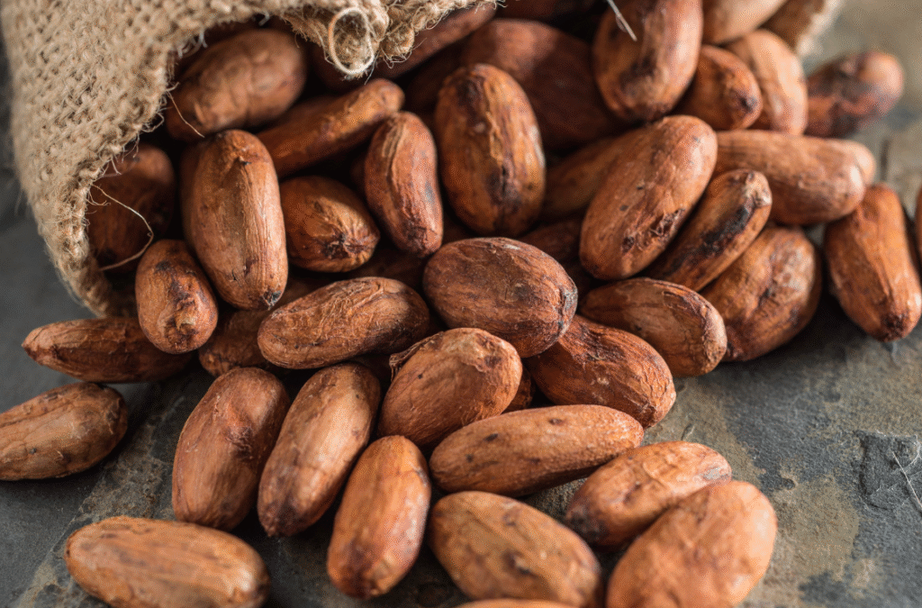Single origin cocoa beans from Africa | Radad International