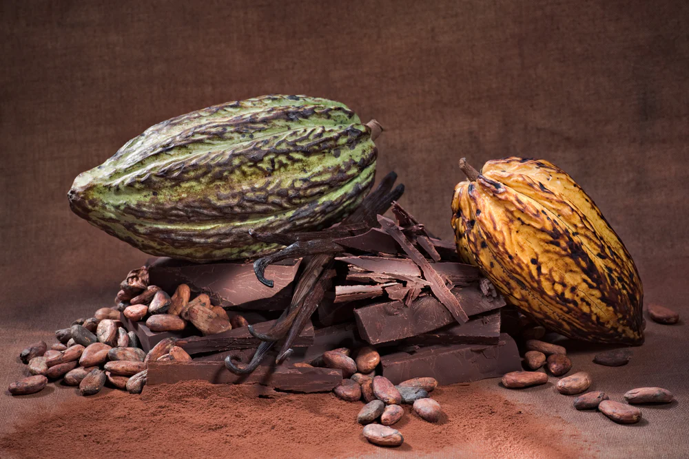 Single origin cocoa beans from Africa, with cocoa still in pods and some dry cocoa bean