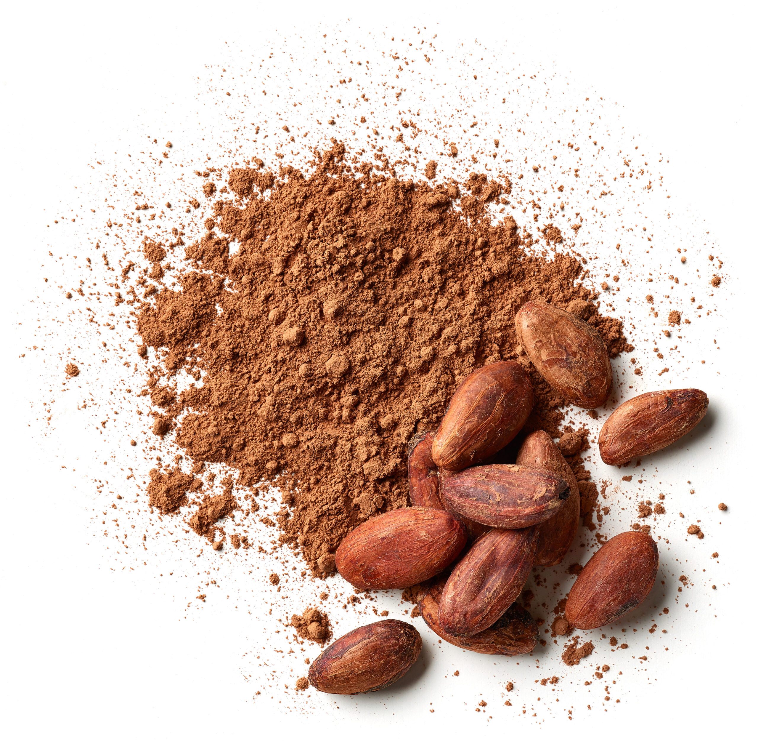 Natural cocoa powder Heap of cocoa powder and beans isolated on white background, top view