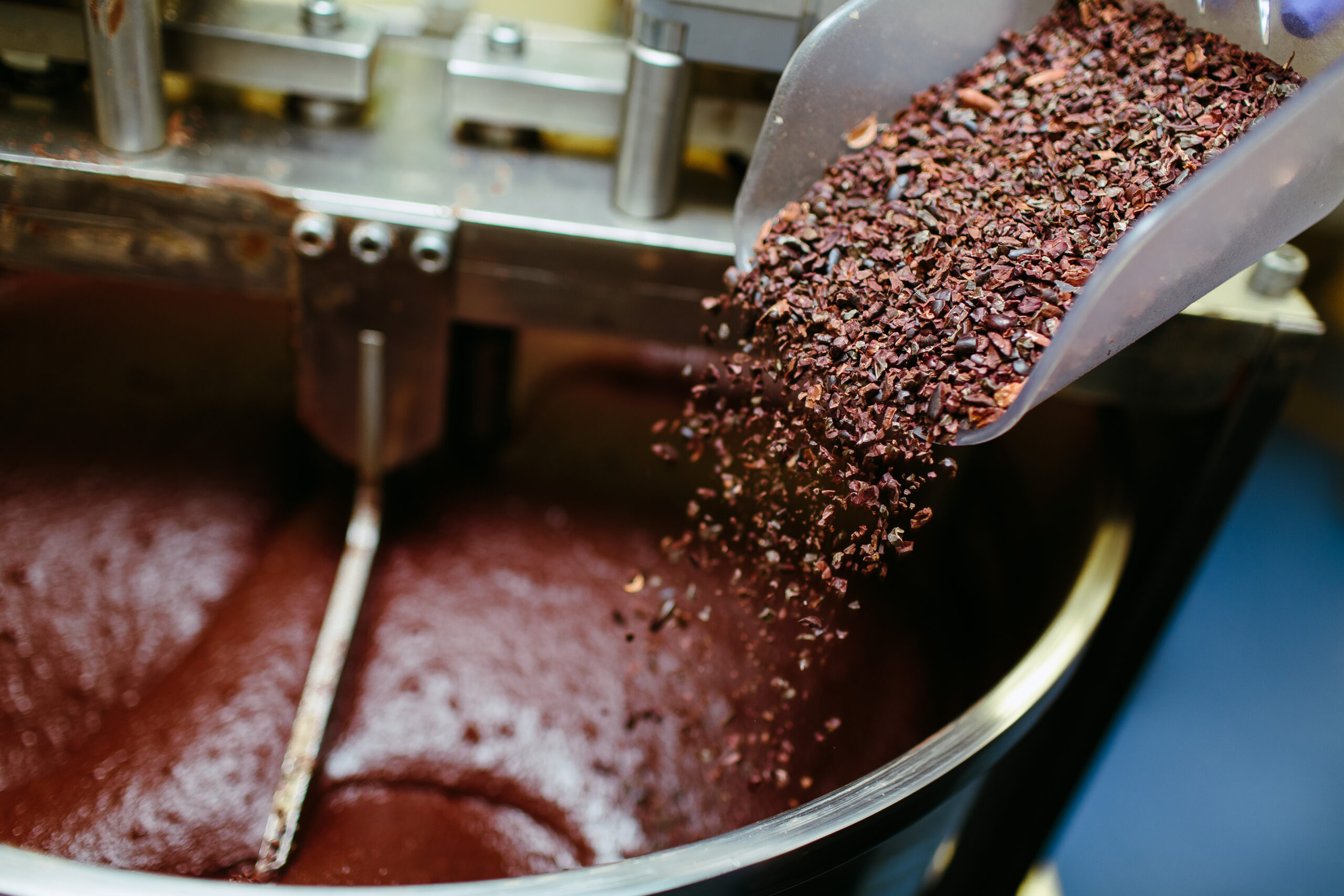 Organic certified cocoa mass Artisan chocolate making and adding cocoa grits in the melanger stone grinder.