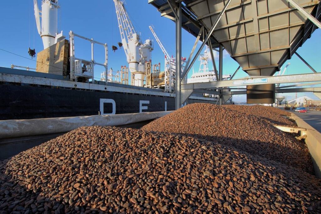 bulk African cocoa at seaport ready for exports radad international