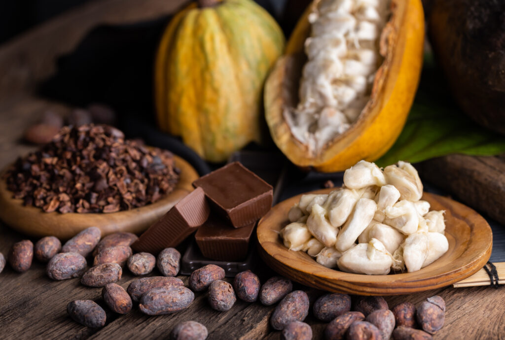 African cocoa pods, beans, cocoa nibs and powder on wooden table, with some chocolate bars. Radad International