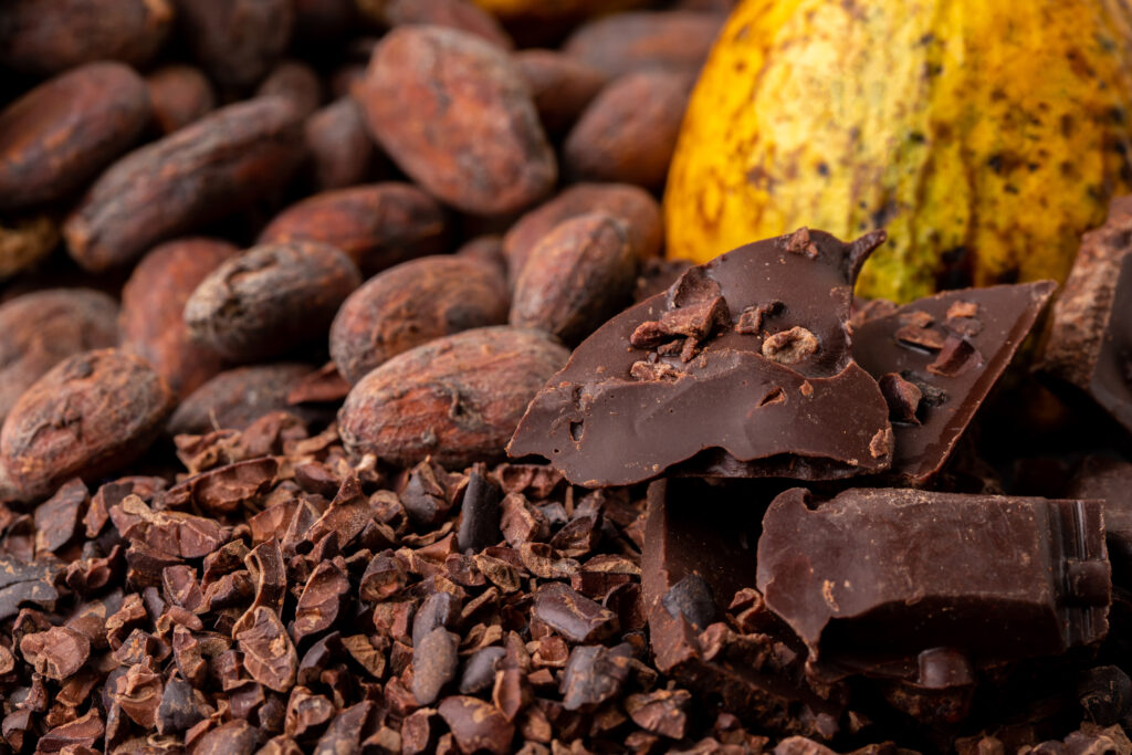 Dark chocolate pieces, cocoa mass (chocolate mass) crushed and cocoa beans, top view