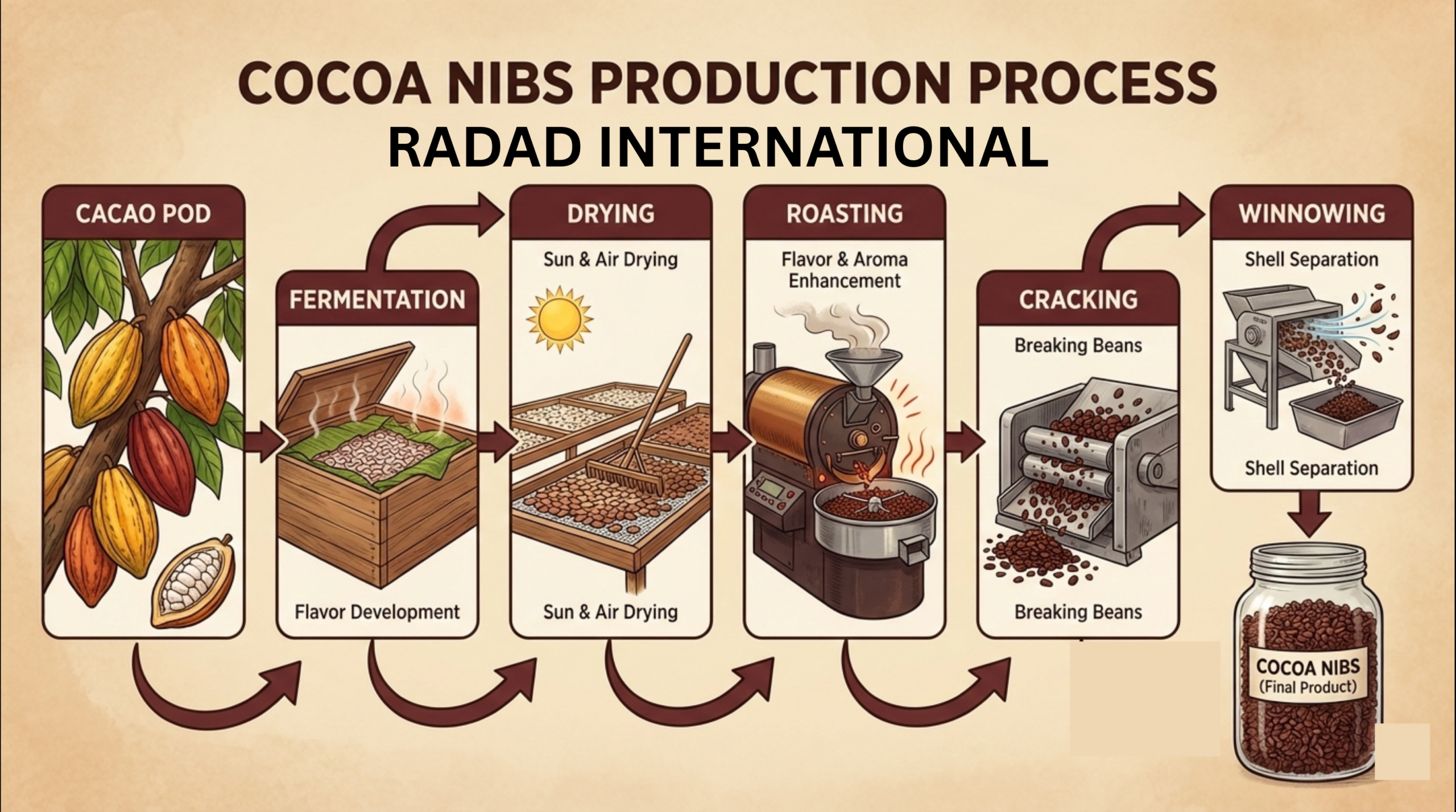 Cocoa Nibs Production Process flow chart Radad International