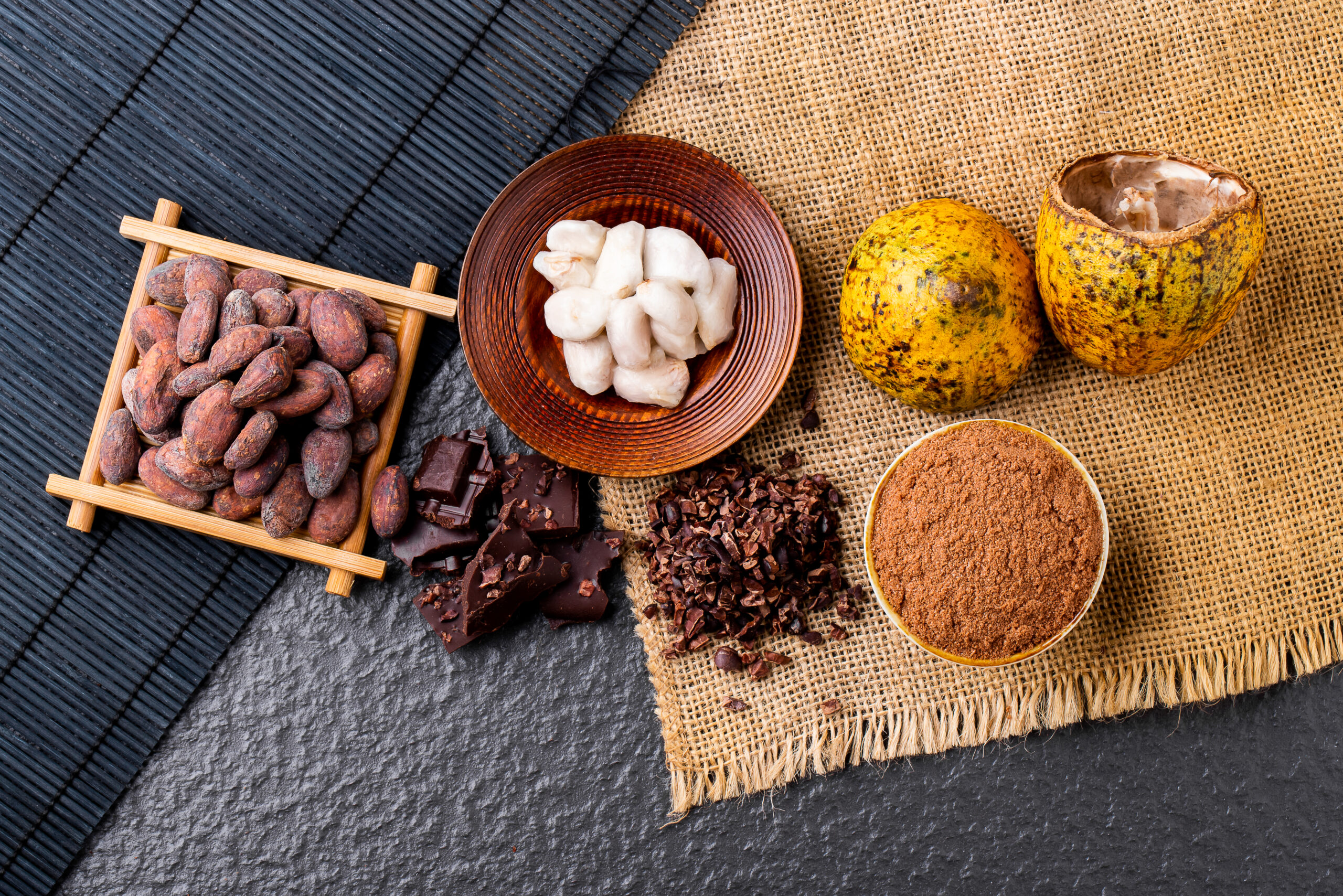 Dark chocolate pieces and cocoa beans