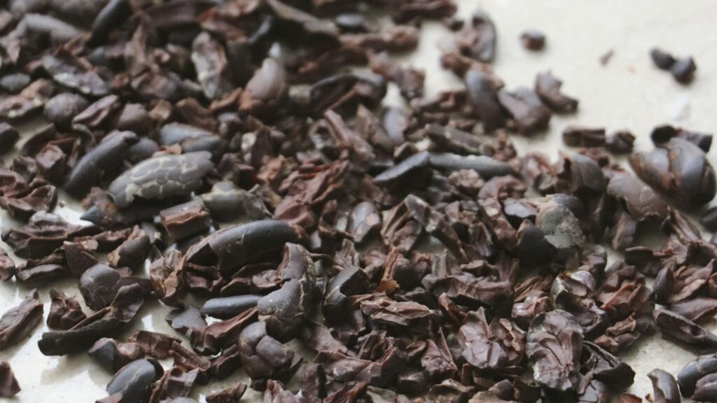 Dried cocoa beans on a white ceramic plate