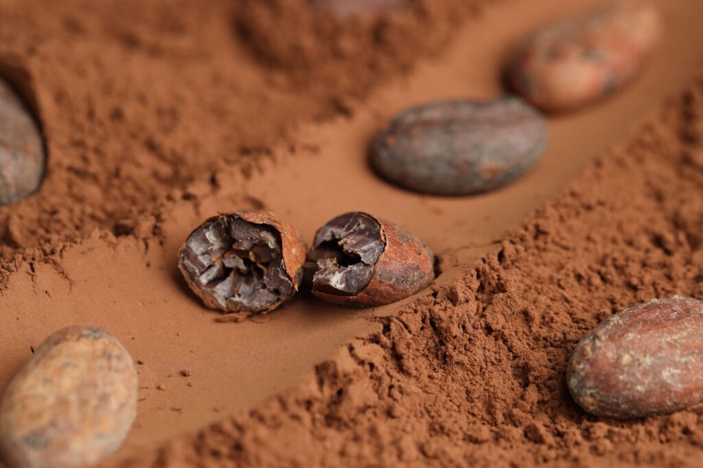 Cocoa bean cut test explained, Radad International