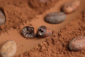 Cocoa bean cut test explained, Radad International