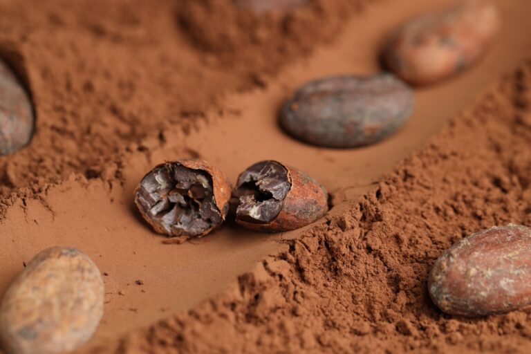 Cocoa bean cut test explained, Radad International