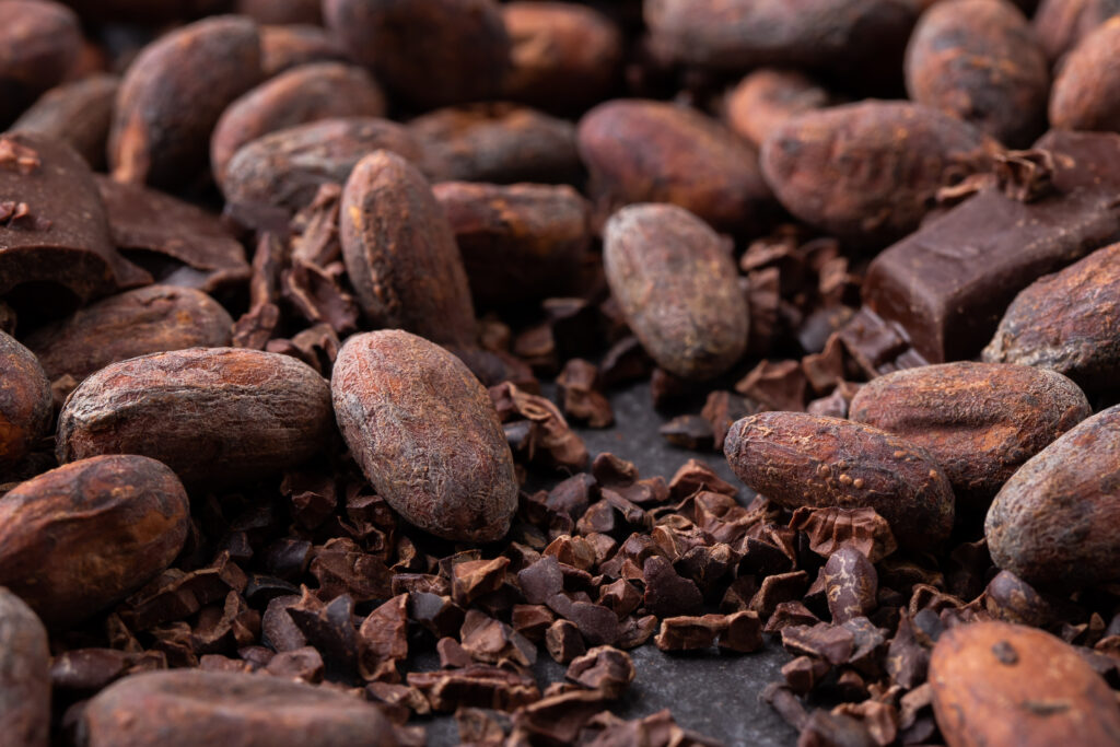 Fresh cocoa beans and cocoa nibs