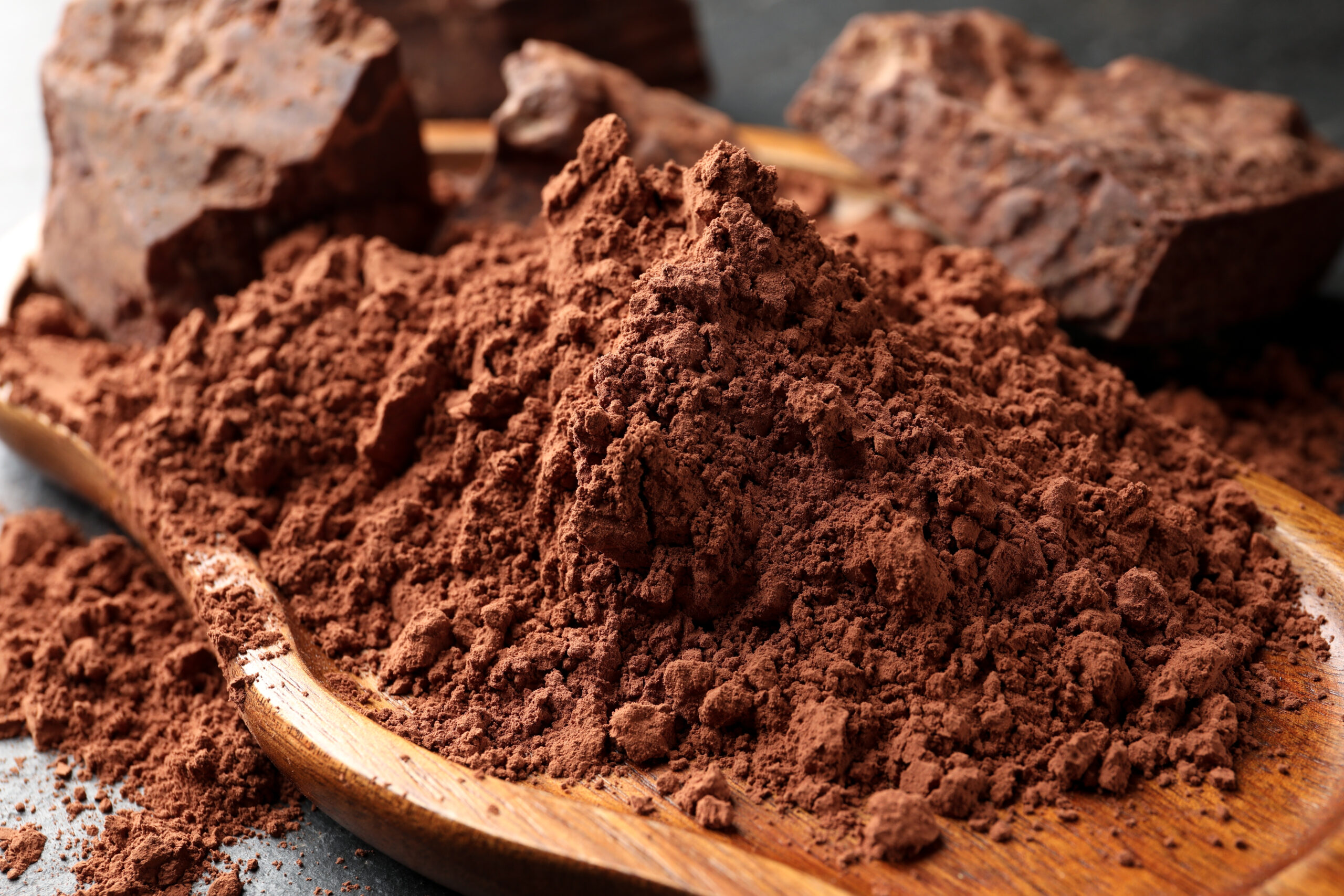 Fine cocoa powder on a wooden spoon, Radad International